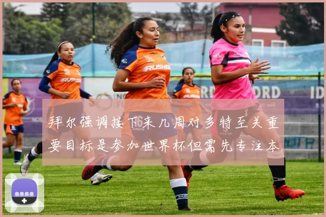 拜尔强调接下来几周对多特至关重要目标是参加世界杯但需先专注本赛季表现